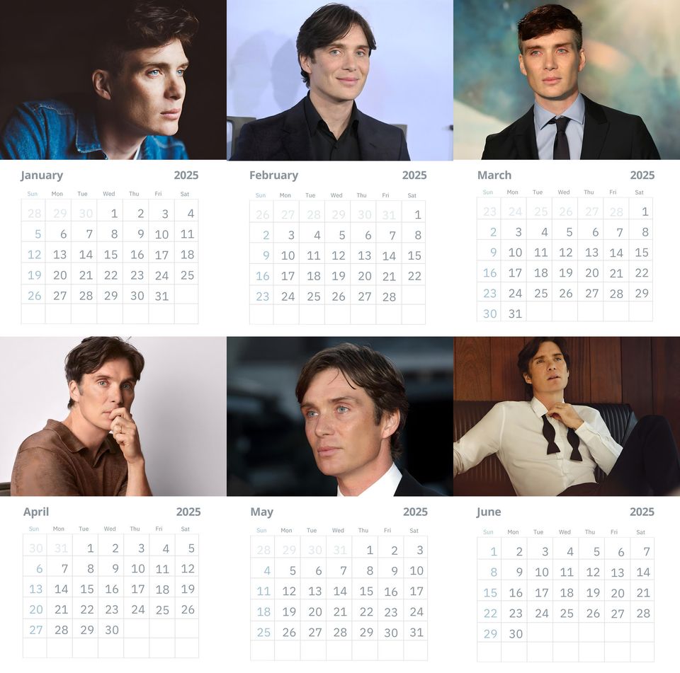 Cillian Murphy Wall Calendars 2025