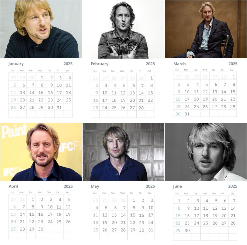 Owen Wilson Wall Calendar 2025 Vol 1