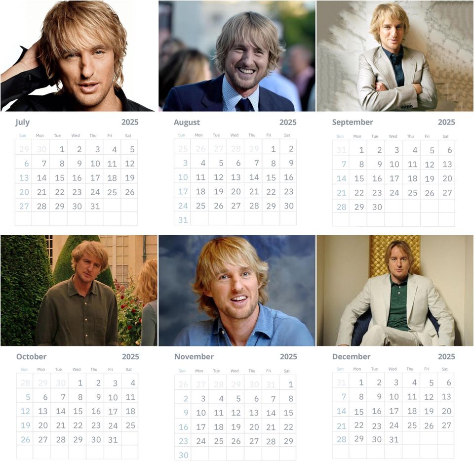 Owen Wilson Wall Calendar 2025 Vol 1