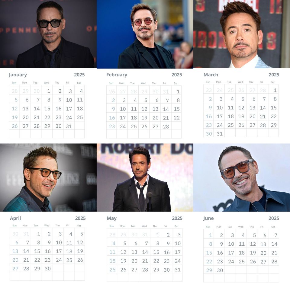 Robert Downey JR Wall Calendars 2025 Vol 2