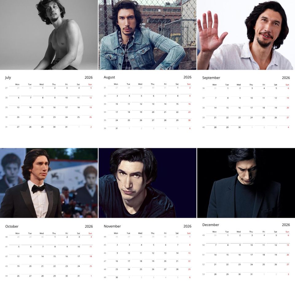 Adam Driver Wall Calendar 2026 Vol 4 Large