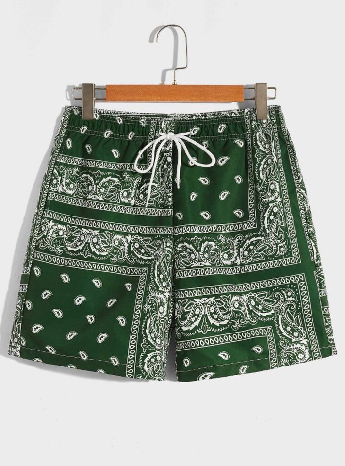 Men Drawstring Waist Paisley Print Shorts