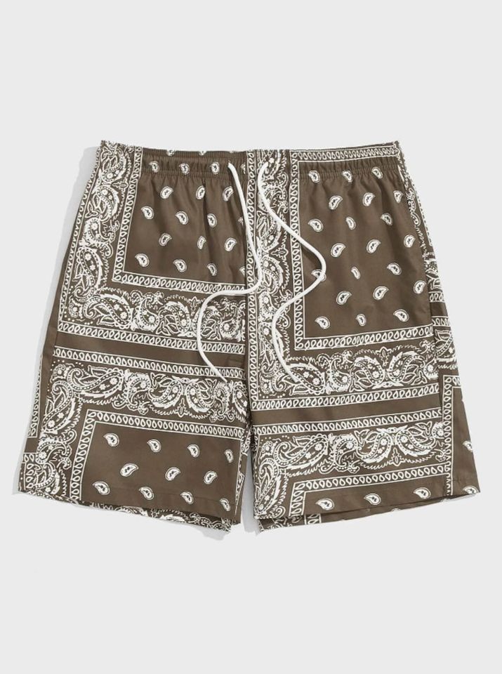 Men Drawstring Waist Paisley Print Shorts