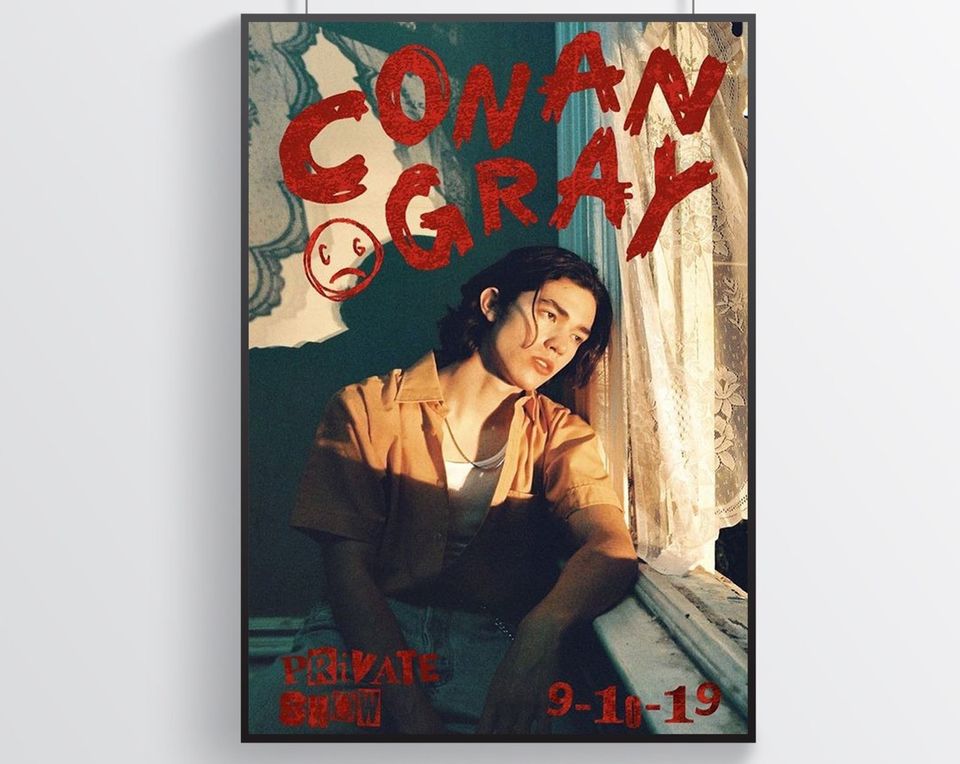 Conan Gray Poster, Room Decor, Music Poster, Gray Art