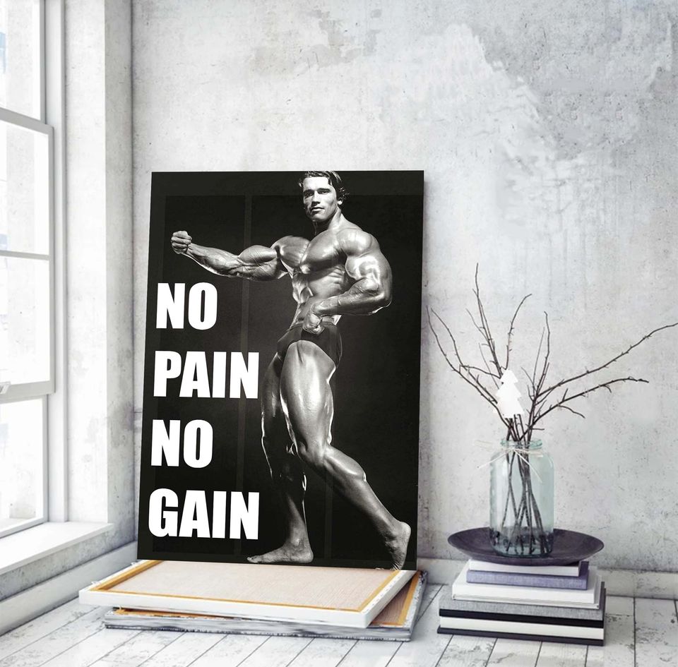 Arnold Schwarzenegger Gym Poster