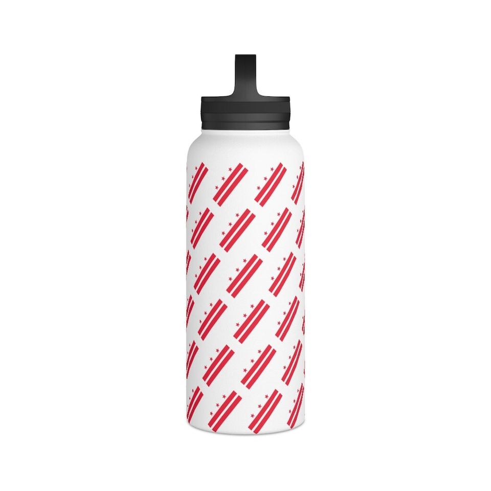 Stainless Steel Water Bottle, Handle Lid