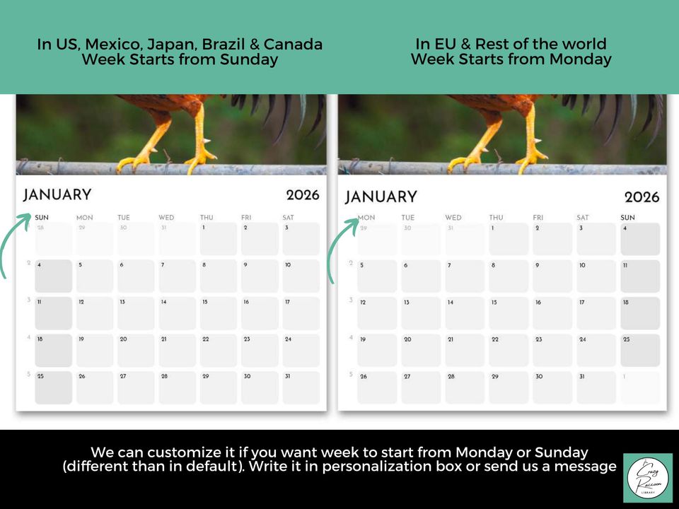 Roosters 2026 Wall Calendar, Funny Gag Gift