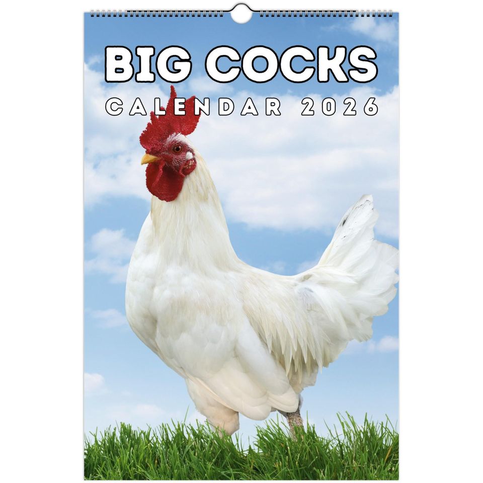 Roosters 2026 Wall Calendar, Funny Gag Gift