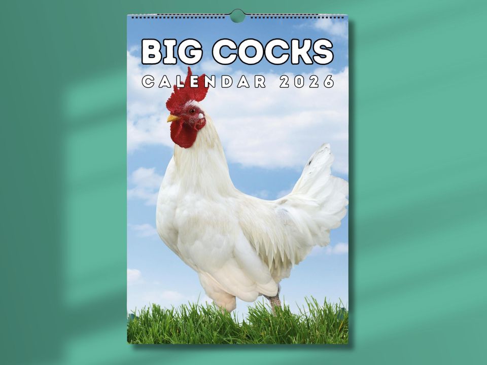 Roosters 2026 Wall Calendar, Funny Gag Gift