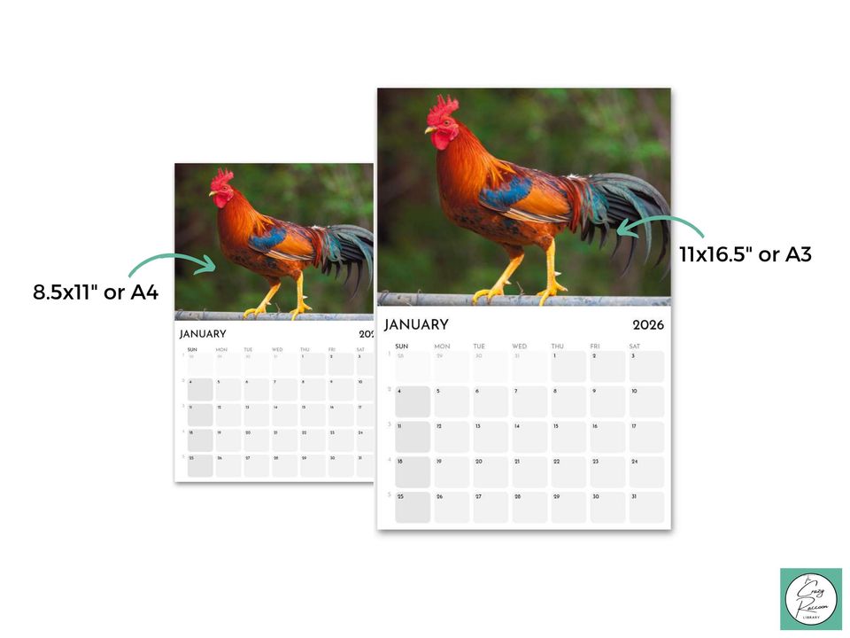 Roosters 2026 Wall Calendar, Funny Gag Gift