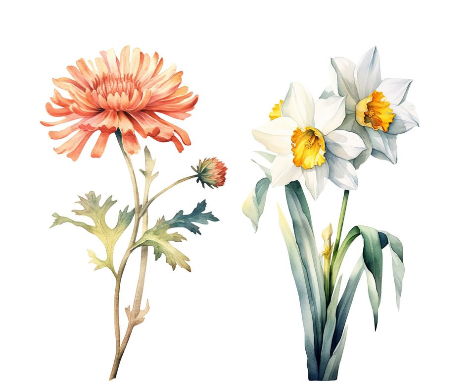 Watercolor Birth Month Flowers Clipart Bundle (PNG Digital Download)