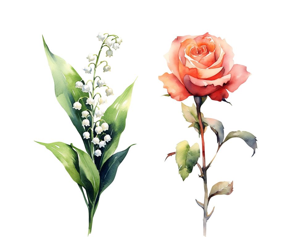 Watercolor Birth Month Flowers Clipart Bundle (PNG Digital Download)