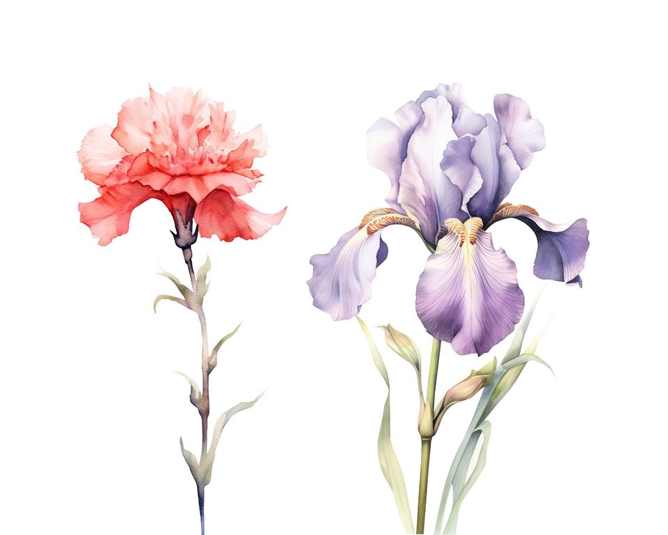 Watercolor Birth Month Flowers Clipart Bundle (PNG Digital Download)