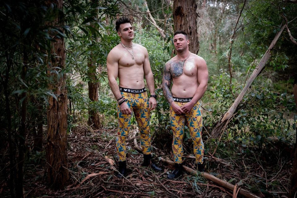 TIGER AND CROC Festival Leggings