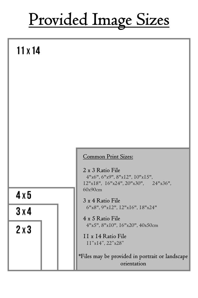 Coco Gauff Poster, Tennis Minimalist Poster