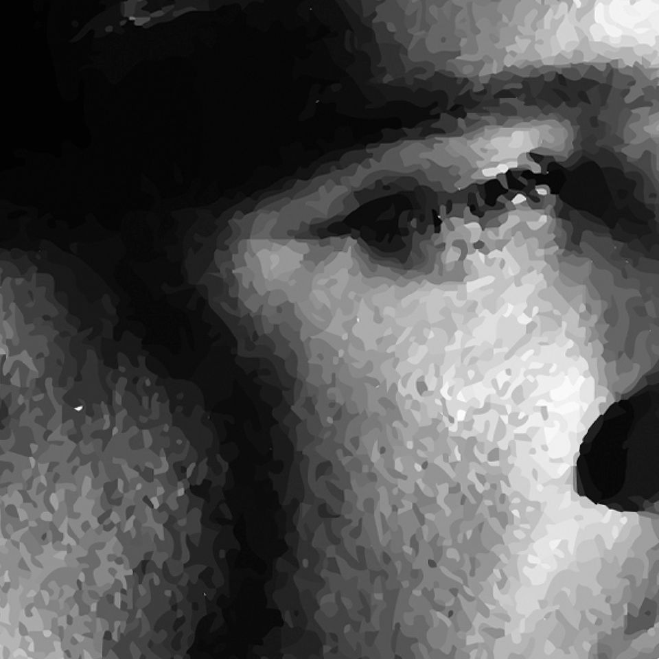 Elvis Presley A3 wall art poster |  IF I CAN DREAM