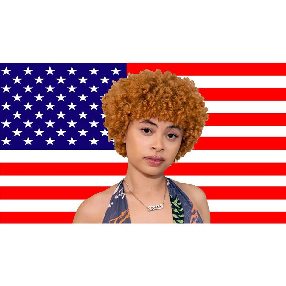 Ice Spice Flag, Munch Flag, Ice Spice Tapestry Pink American