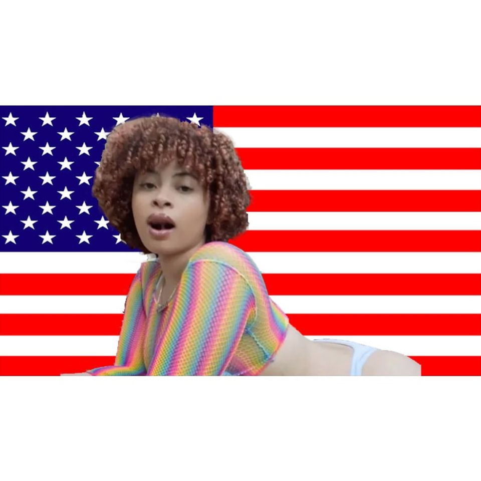 Ice Spice Flag, Munch Flag, Ice Spice Tapestry Pink American