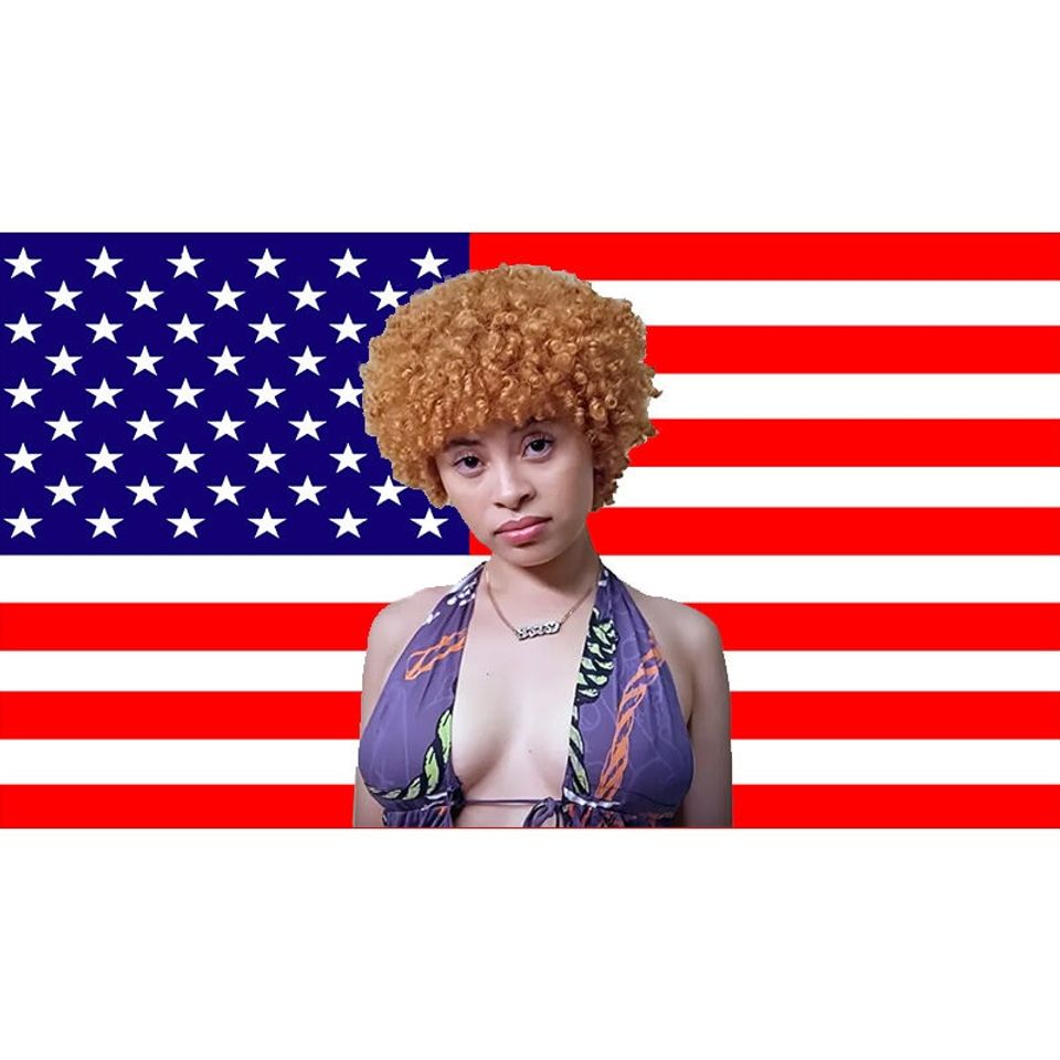 Ice Spice Flag, Munch Flag, Ice Spice Tapestry Pink American