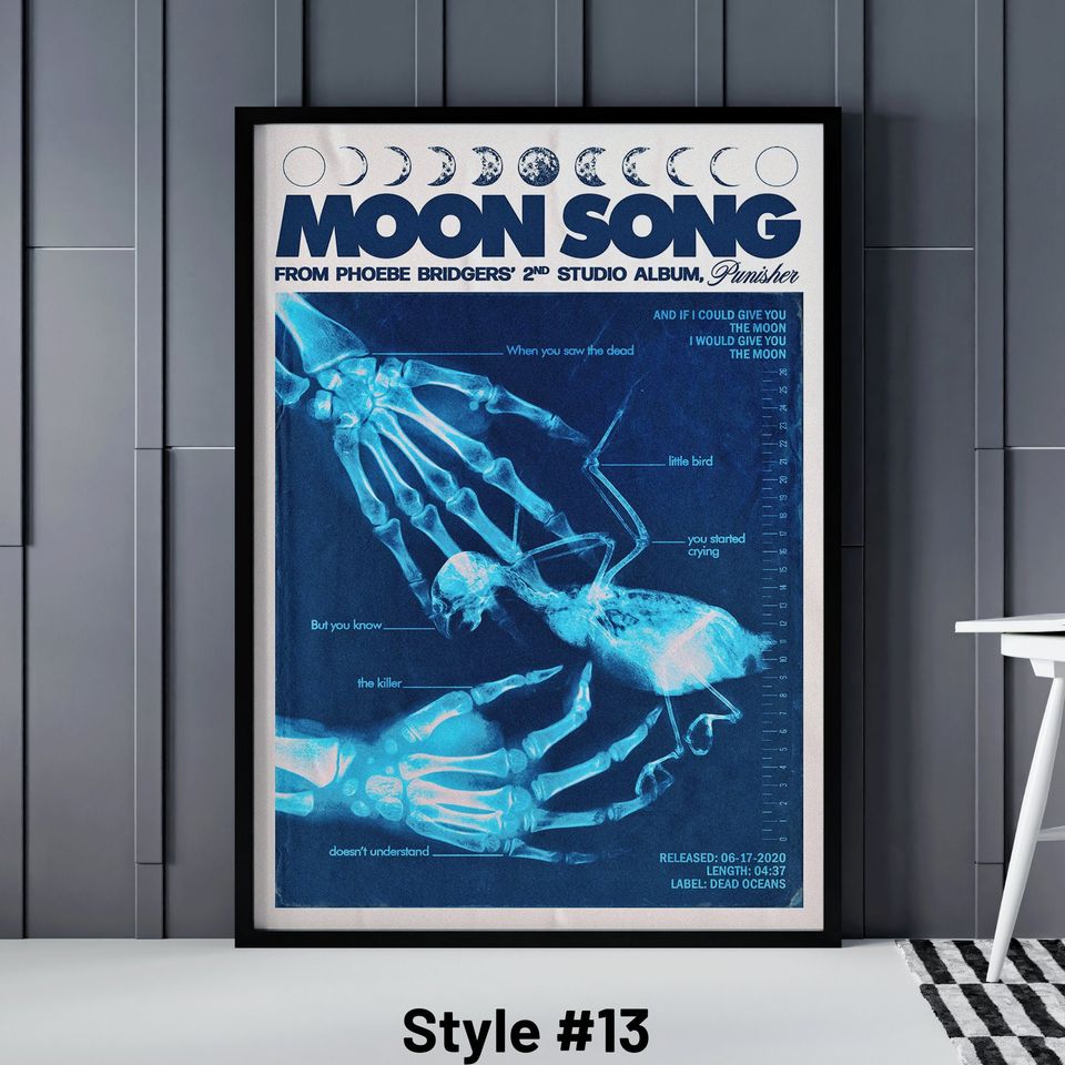 Phoebe Bridgers Punisher Poster, 6 Different Phoebe Bridgers Posters