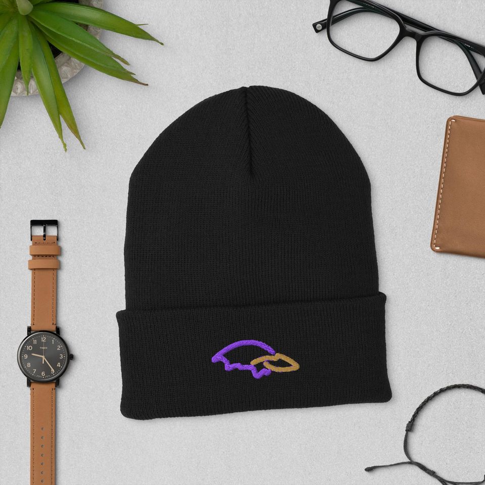 Baltimore Minimalist Design Embroidered Cuffed Beanie American Football Hat