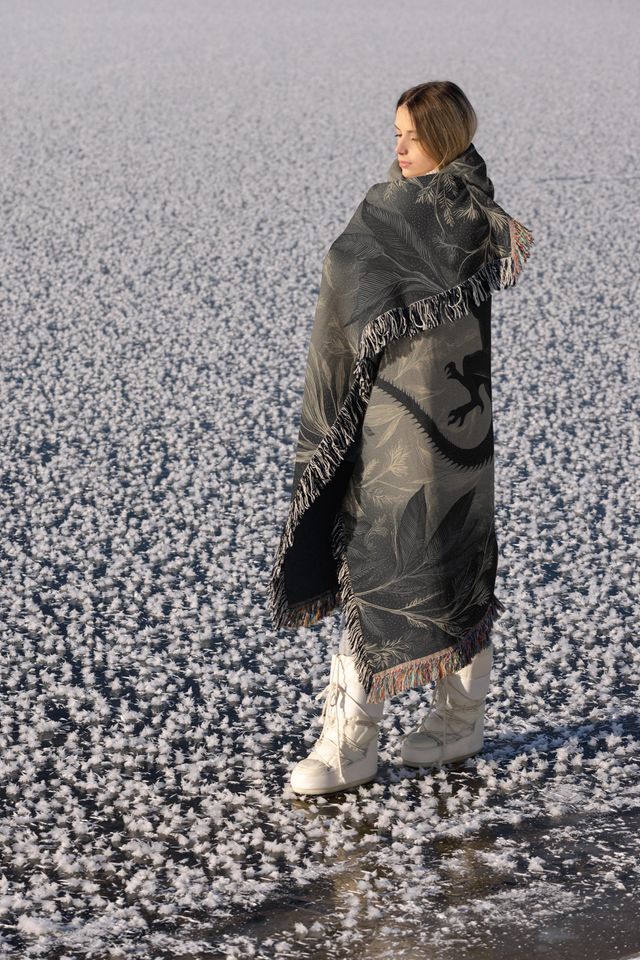 Minimalist Medieval Dragon Woven Blanket, Fourth Wing Inspired Throw, Gothic Botanical Pattern Tapestry