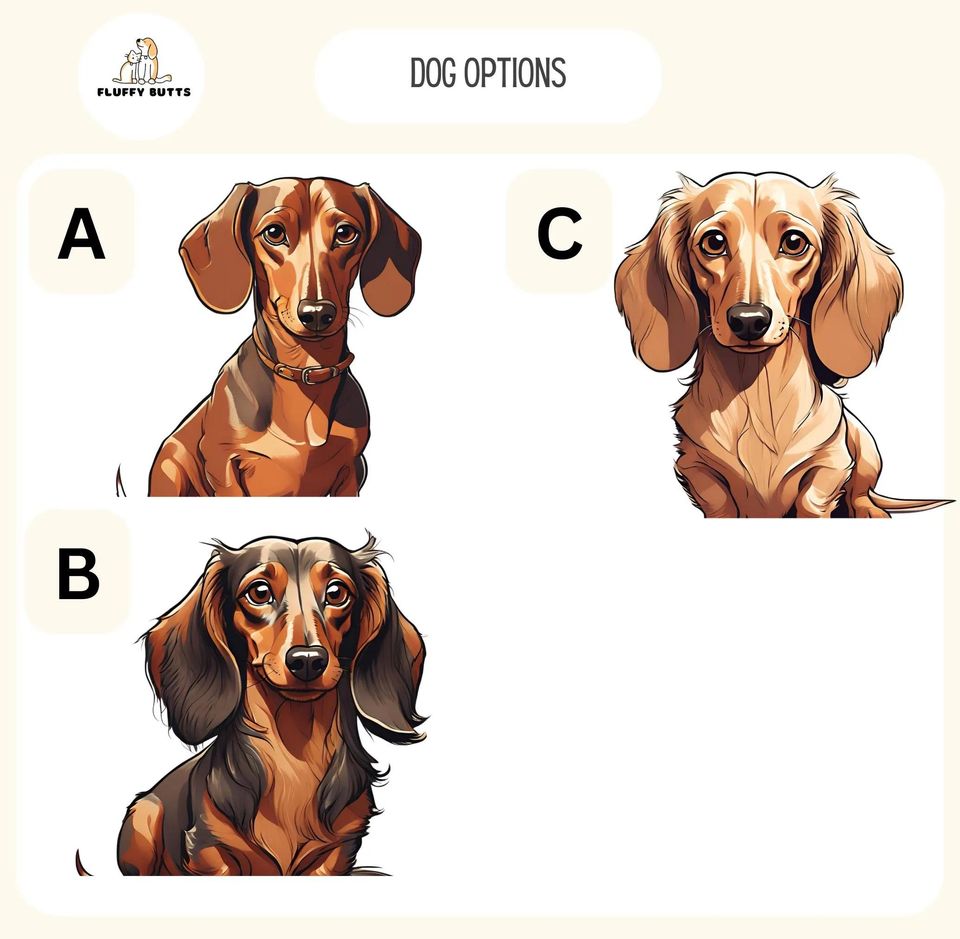 Personalized Name Dachshund Halloween Garden Flag,Custom Dog Flags