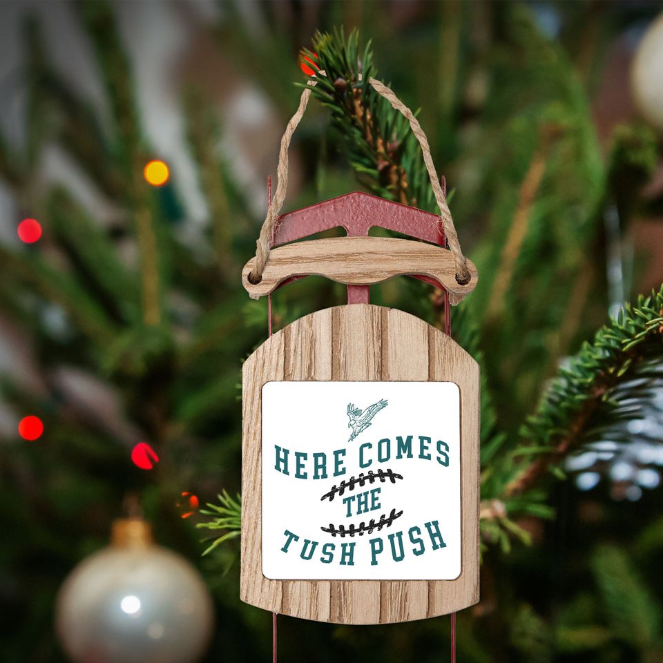 Eagles Ornament, Christmas Sled Ornament, Philly Football Fan Gift
