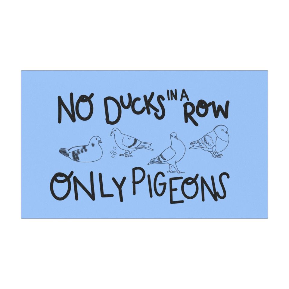 No Ducks in a Row Only Pigeons Car Magnet
