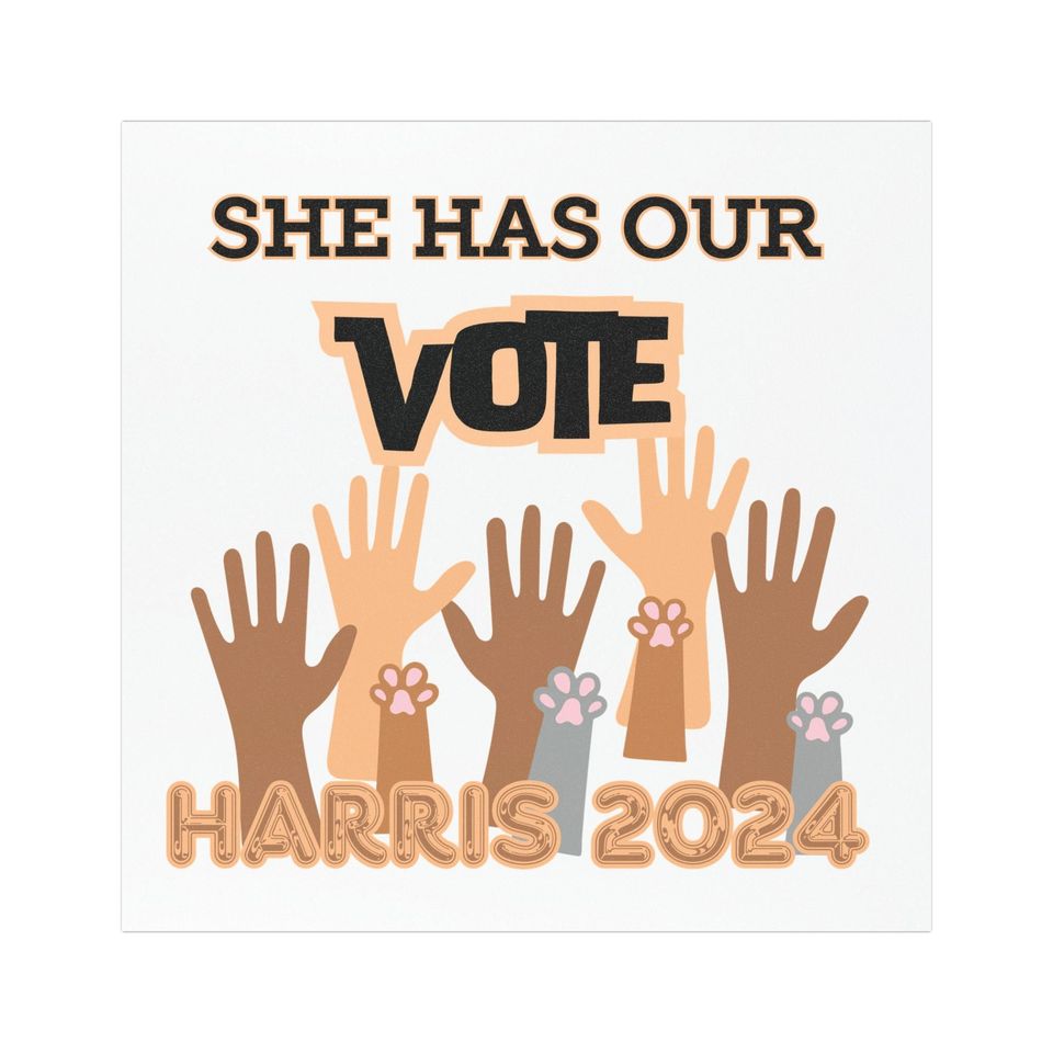 Car Magnets Childless Cat lady