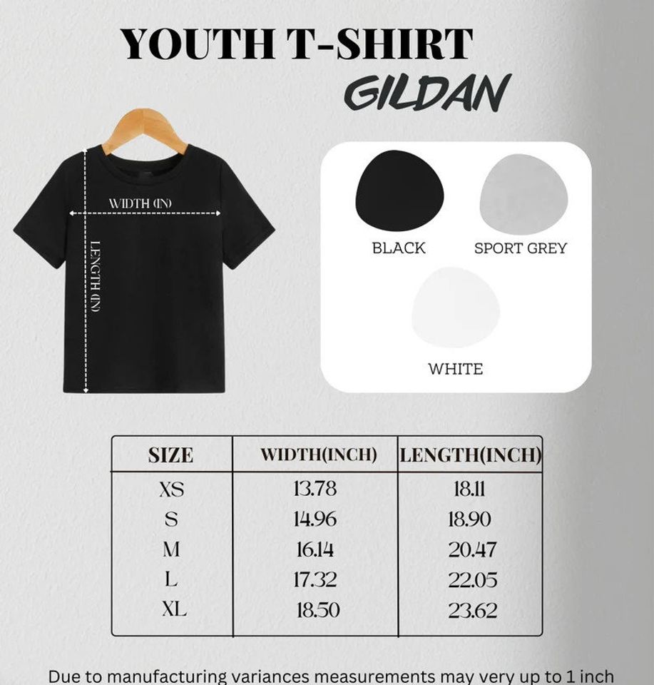 Vintage Niall Horan The Show Live On Tour 2024 Shirt