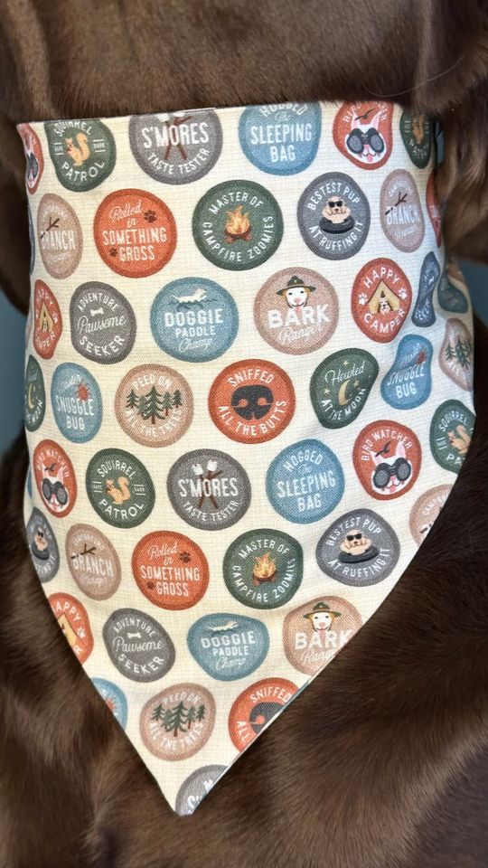 Adventure Buddy  Dog Scrunchie Bandana