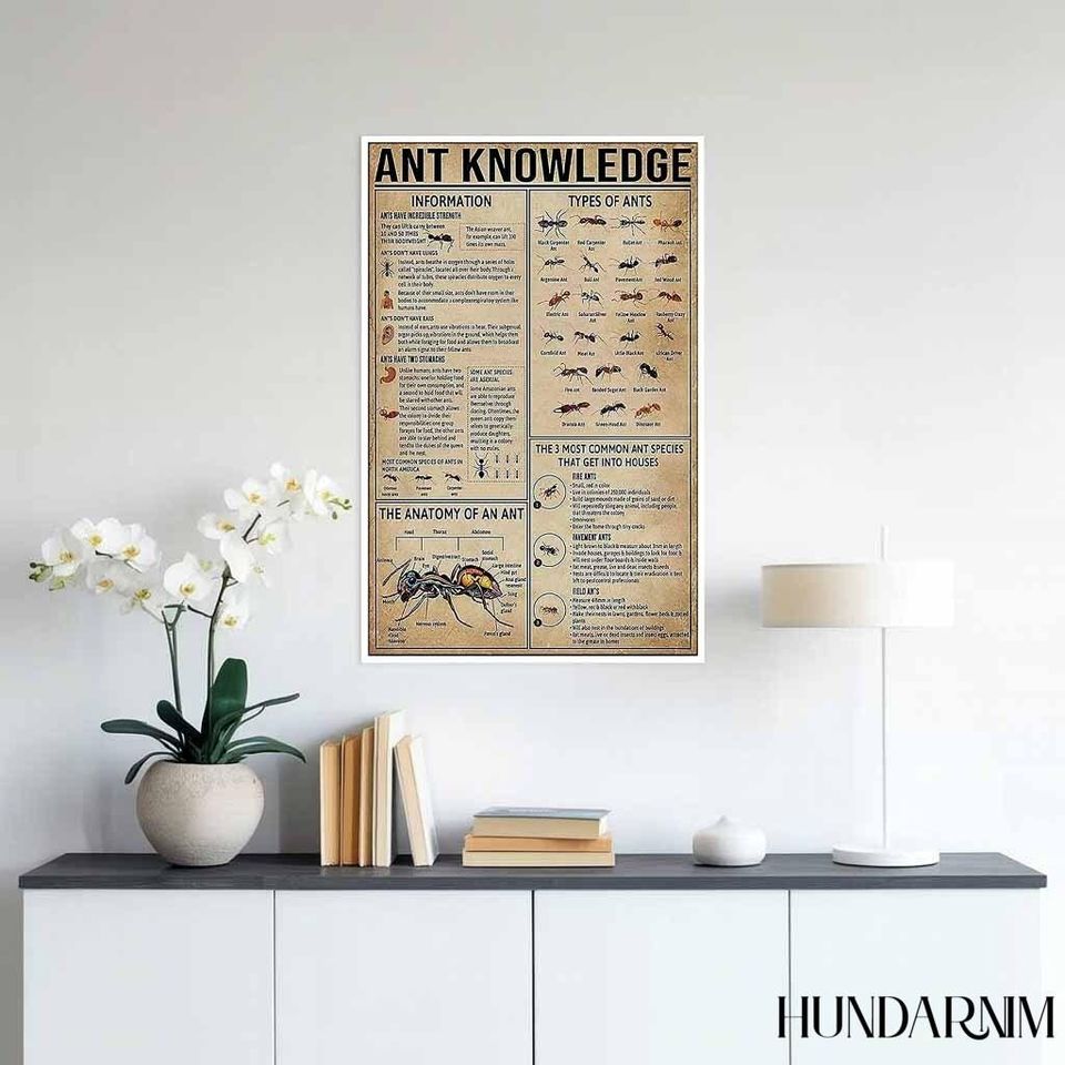 Ant Knowledge Poster - Educational Insect Chart for Biology Classroom Decor, Vintage Science Wall Art