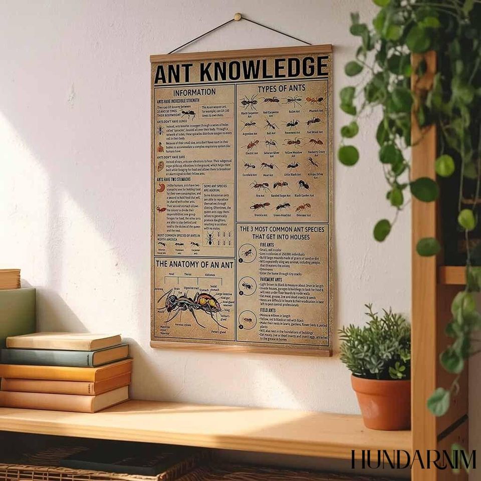 Ant Knowledge Poster - Educational Insect Chart for Biology Classroom Decor, Vintage Science Wall Art
