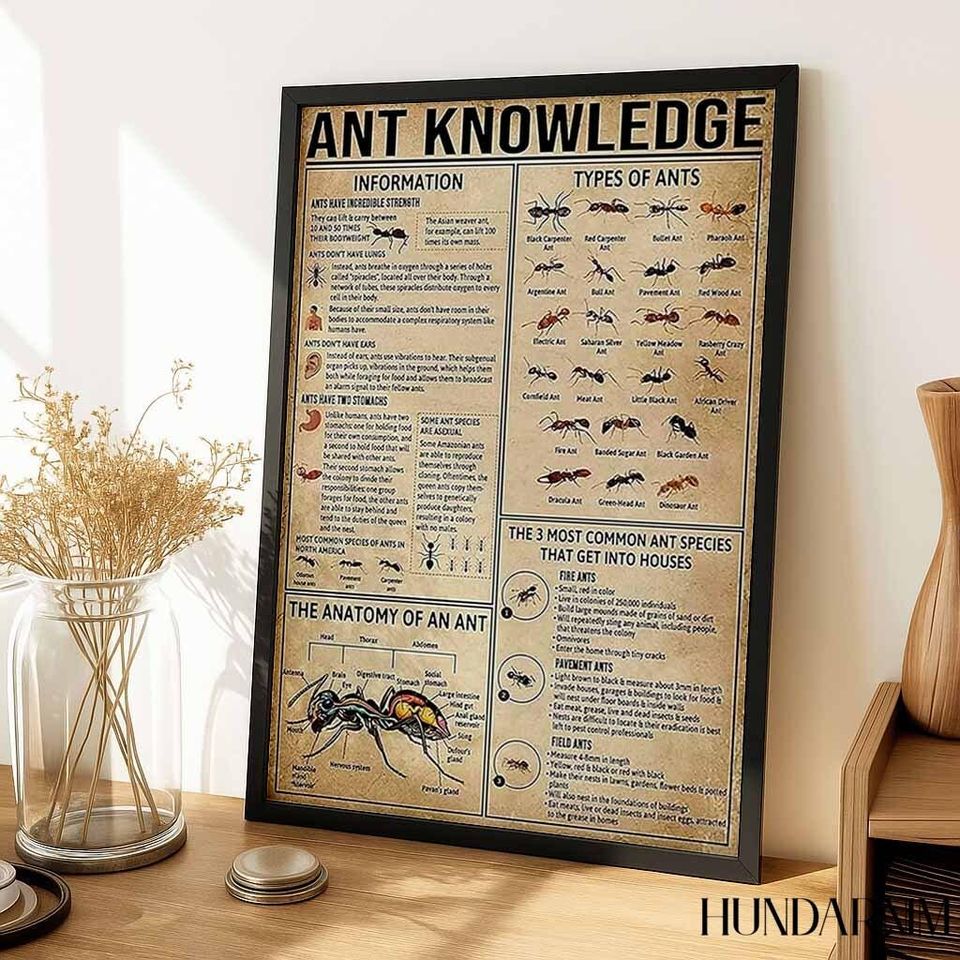 Ant Knowledge Poster - Educational Insect Chart for Biology Classroom Decor, Vintage Science Wall Art