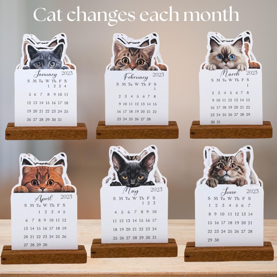 2026 Cat Lovers Mini Desk Calendar | Monthly Cat Calendar | Gift for Cat Enthusiasts