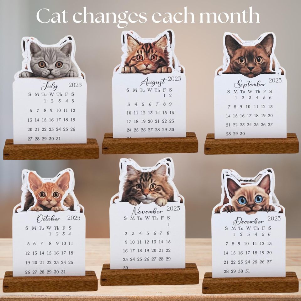 2026 Cat Lovers Mini Desk Calendar | Monthly Cat Calendar | Gift for Cat Enthusiasts