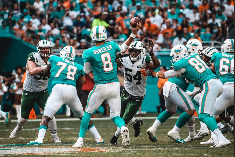 Miami Dolphins Hand-Painted Doormat