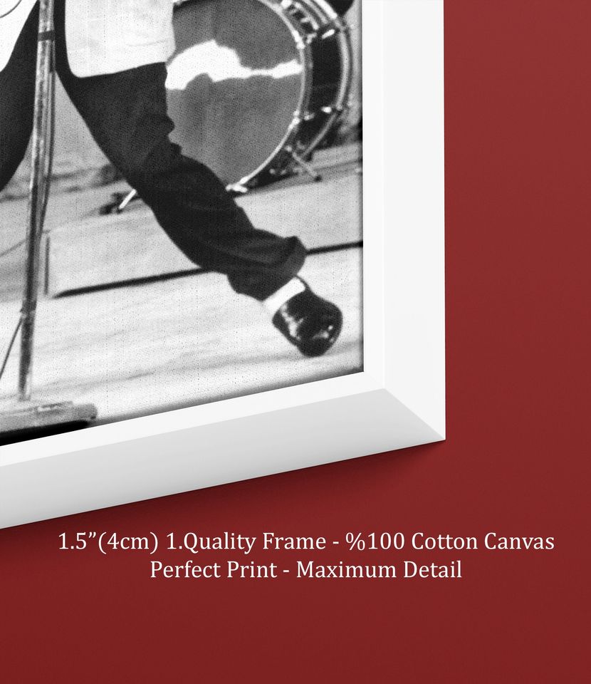Elvis Presley  Rock and Roll Canvas Wall Art Print