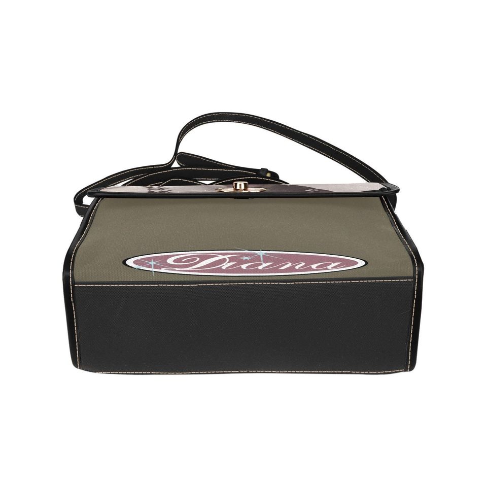 Diana Lock bag (black shoulder strap, black edging)