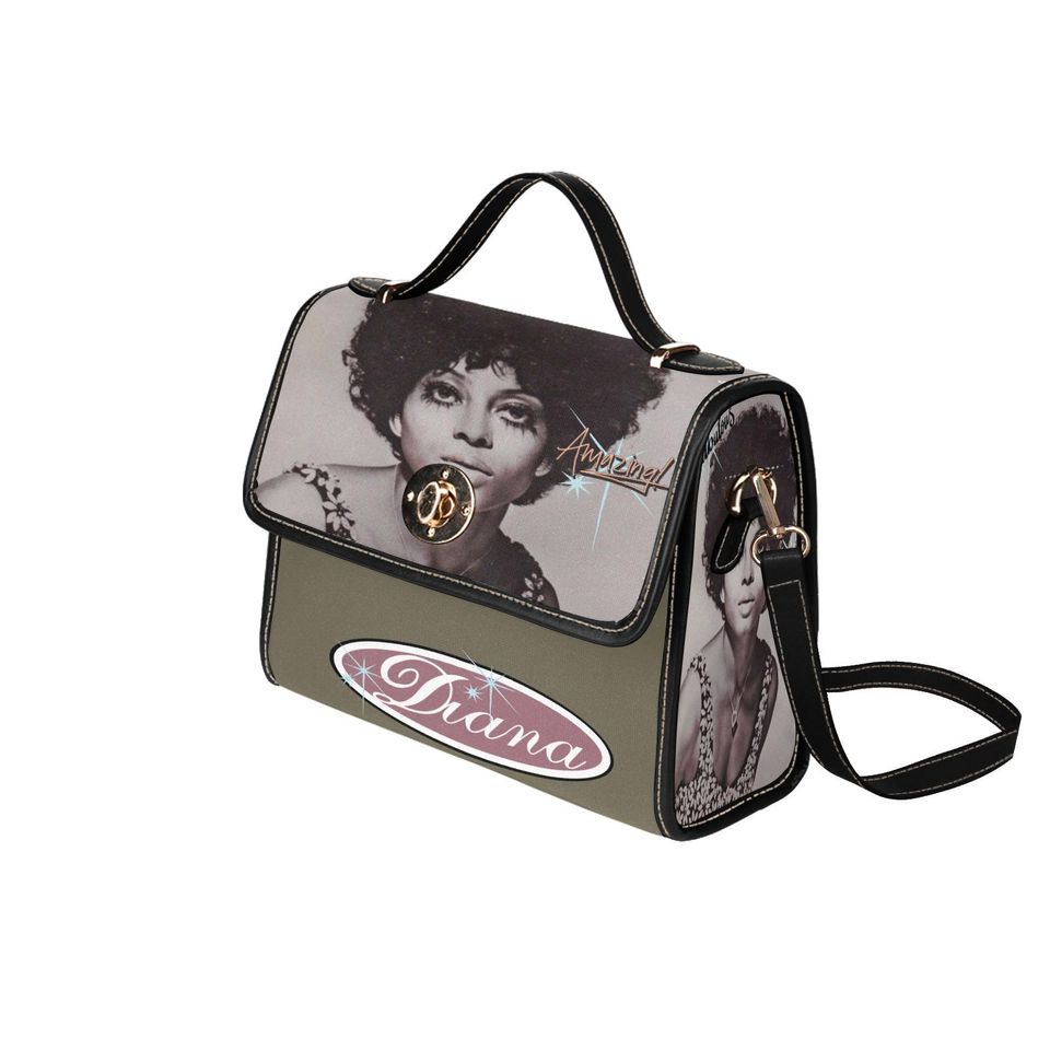 Diana Lock bag (black shoulder strap, black edging)