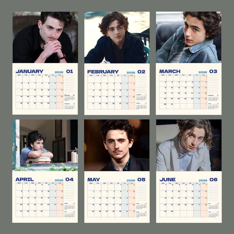 Timothe Chalamet Calendar 2026: Celebrity Wall Calendar, Gift for Fan