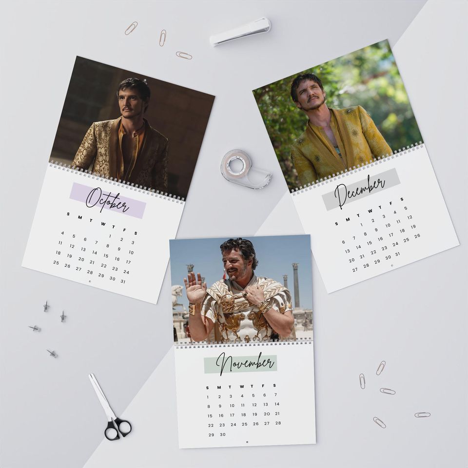 Pedro Pascal Wall Calendar 2026 - Monthly Organizer, Room Decor, Celebrity Fan Gift
