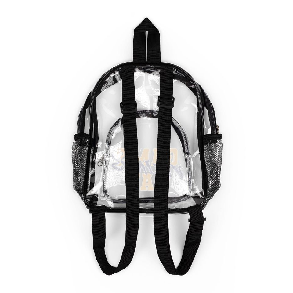 GAME DAY Minnesota Football Team Vikings Clear Backpack, Game Day Bag, Clear Sport Bag