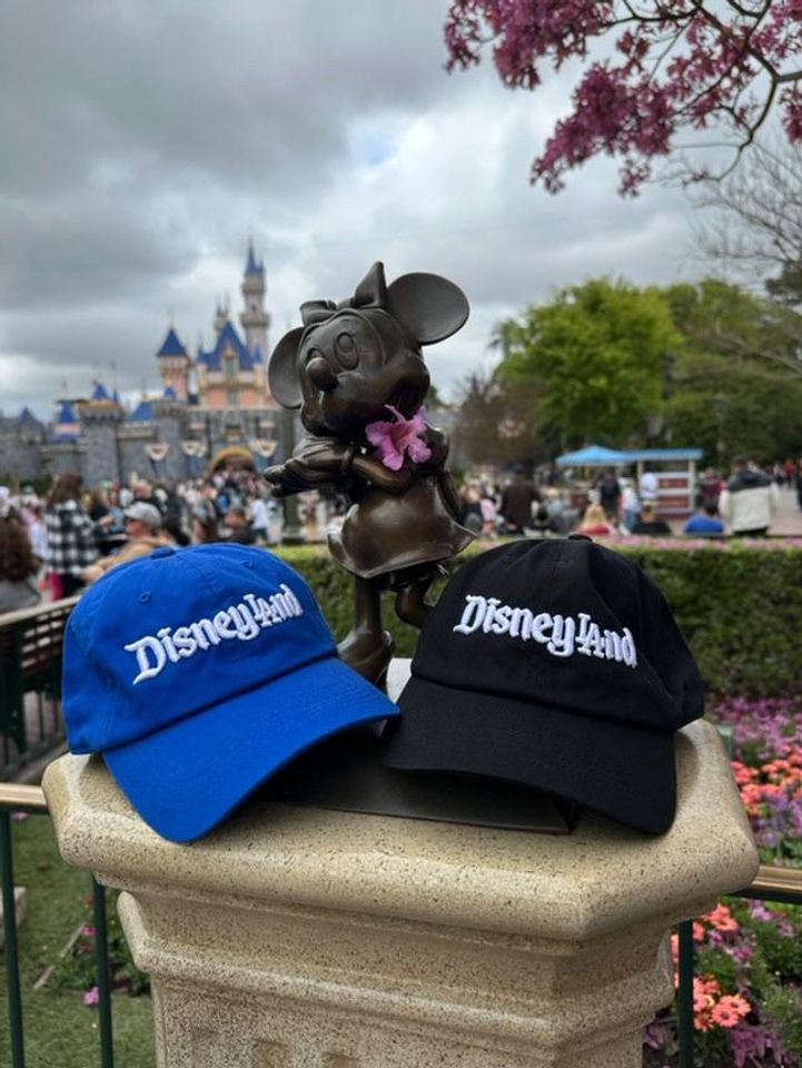 DisneyLA Dodgers, Los Angeles, Baseball Dad hat , Embroidered 3D Puff