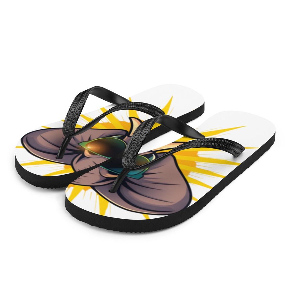 Discrete MAGA Flip-Flops