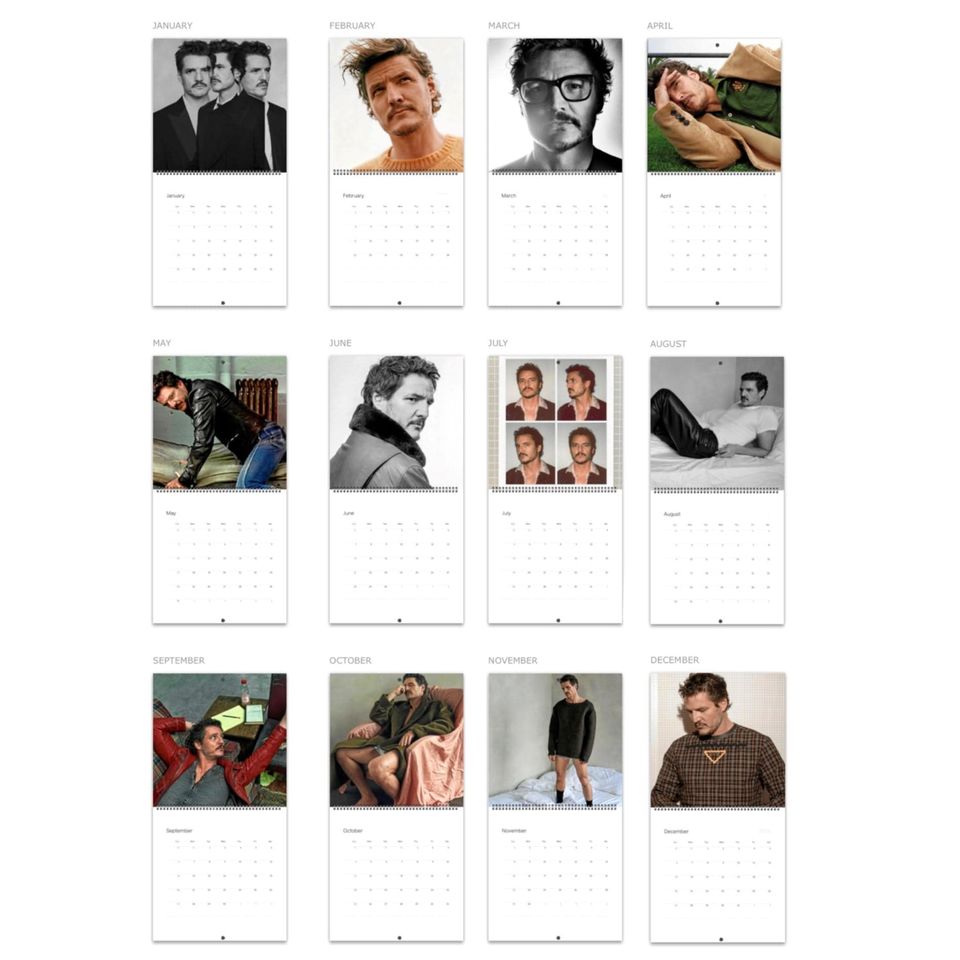 Pedro Pascal 2026 Wall Calendar