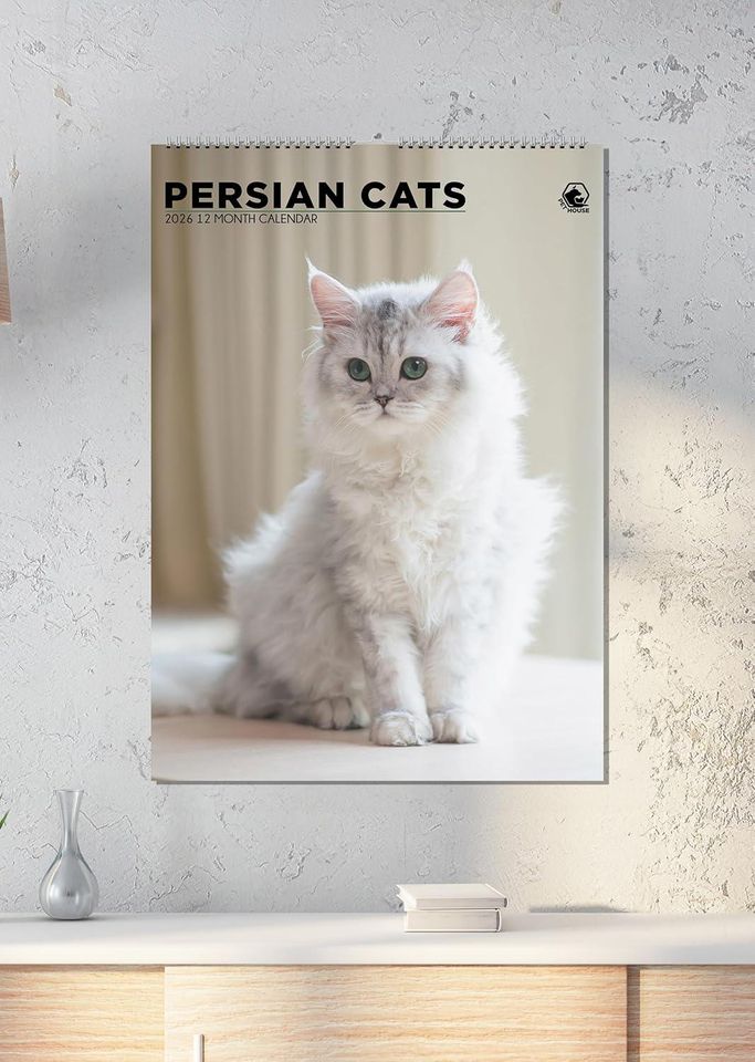 Persian Cat Photography 2026 Wall Calendar