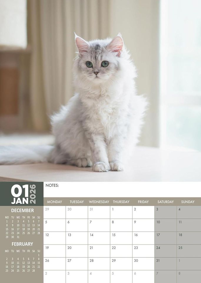 Persian Cat Photography 2026 Wall Calendar