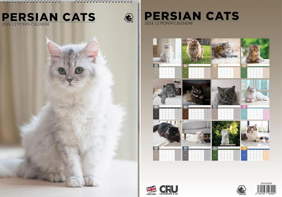 Persian Cat Photography 2026 Wall Calendar